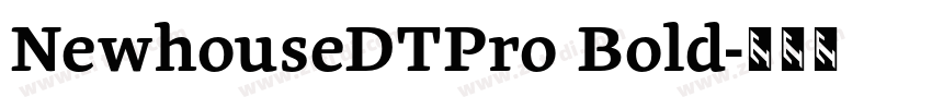 NewhouseDTPro Bold字体转换